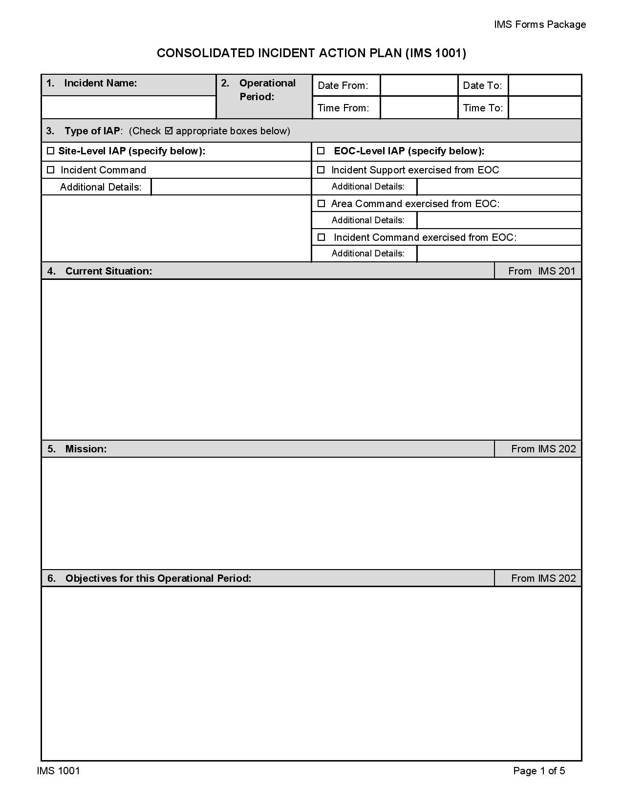 Incident Action Plan Form