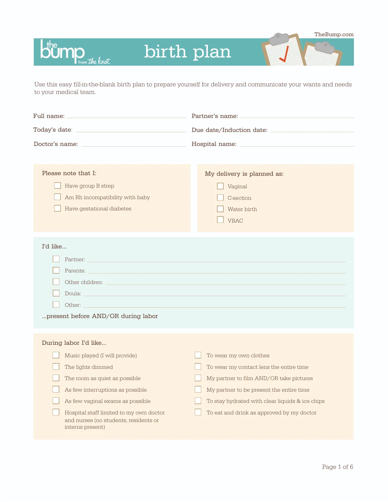Birth Plan Template - Fill, Download & Print
