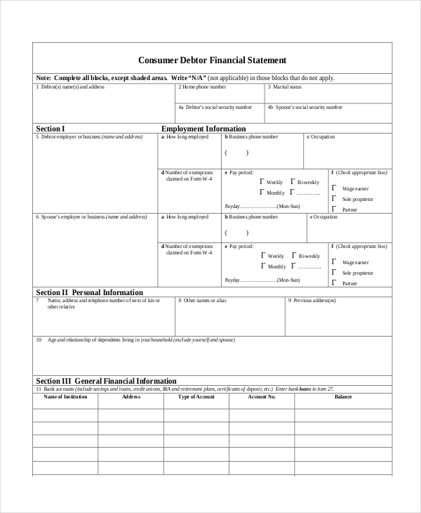 individual debtor financial statement