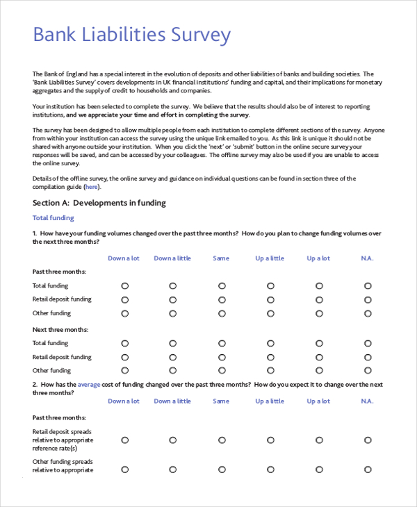 FREE 13  Sample Questionnaire Survey Forms in PDF Excel Word