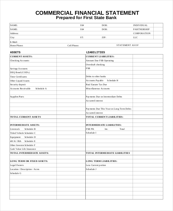 commercial financial statement form