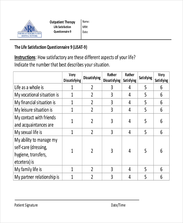 life satisfaction questionnaire