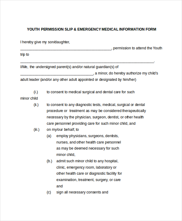 youth travel consent form