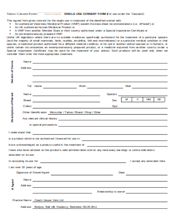 FREE 11 Sample Tattoo Consent Forms In PDF Word