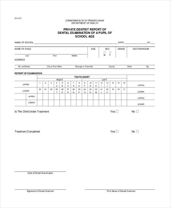 free-9-sample-dental-examination-forms-in-pdf-word