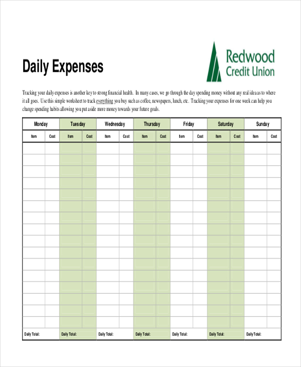 daily expense form
