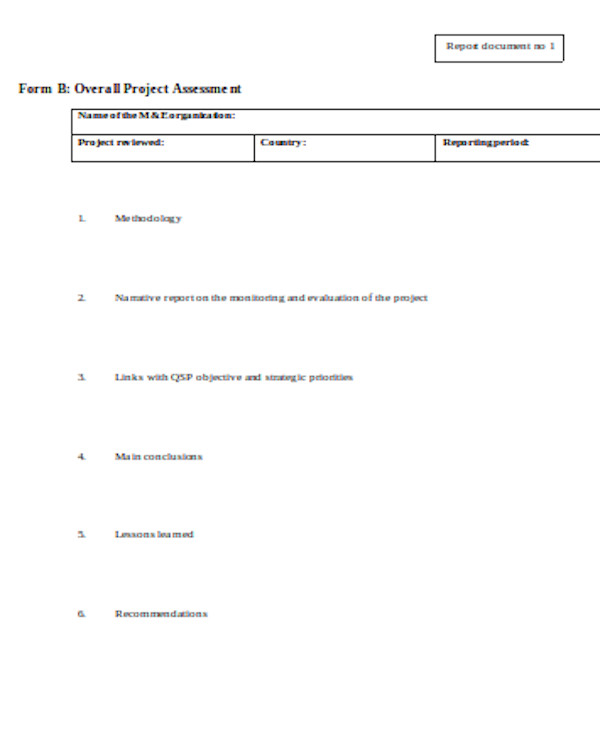 overall project assessment form