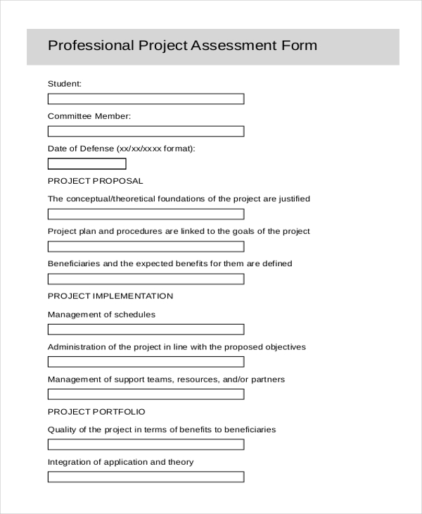 professional project assessment form