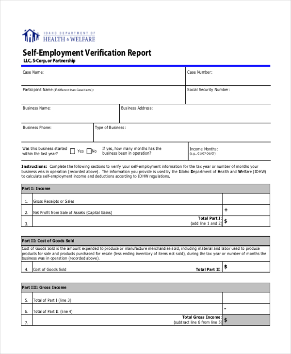 self employment verification report