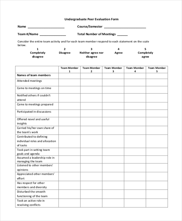 undergraduate peer evaluation form