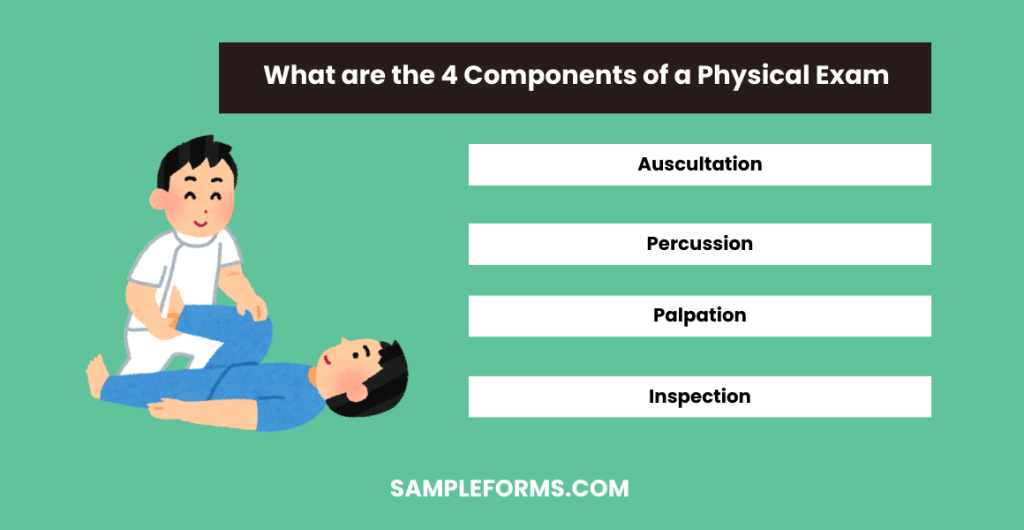 what are the 4 components of a physical exam 1024x530