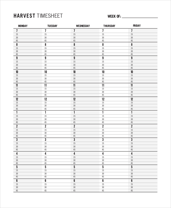 daily time tracking form