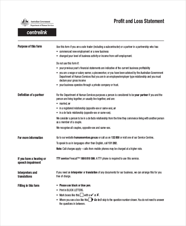 profit and loss statement form