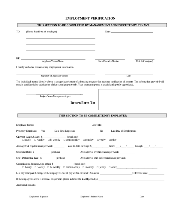 job employment verification form