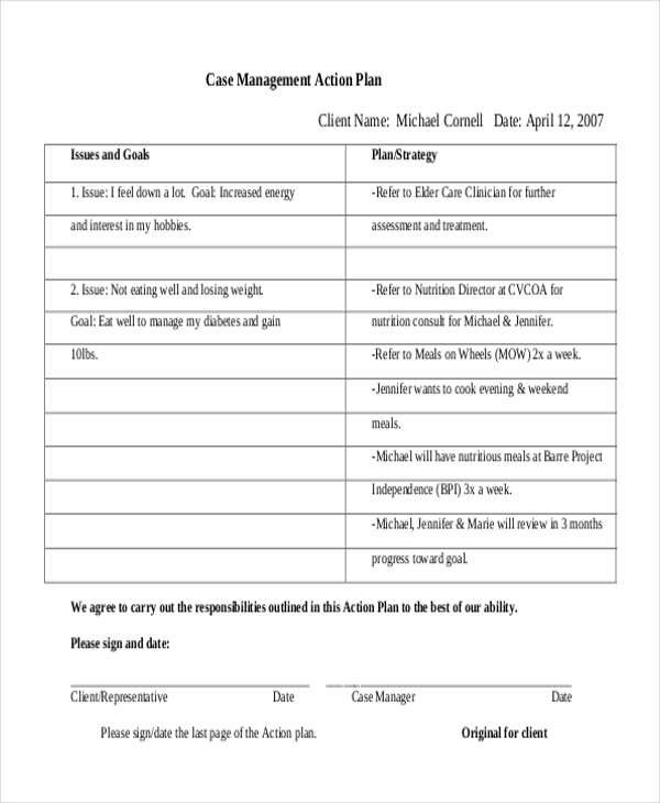 case management action plan