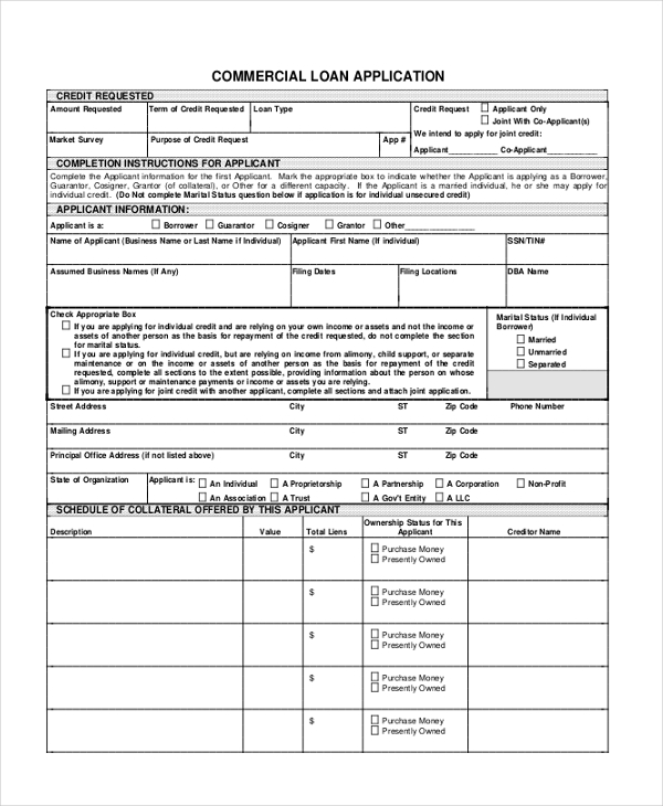 FREE 11+ Sample Loan Application Forms in PDF | Excel | MS Word