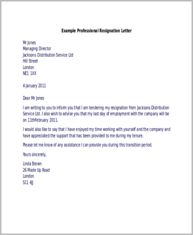 example professional resignation letter