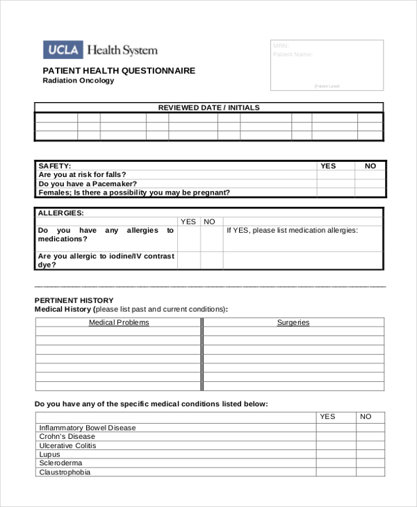 Free 8 Sample Patient Health Questionnaire Forms In Pdf Ms Word 5101