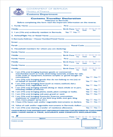 custom traveller declaration form