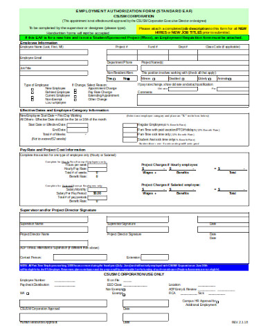 FREE 7+ Sample Employment Authorization Forms in PDF | MS Word