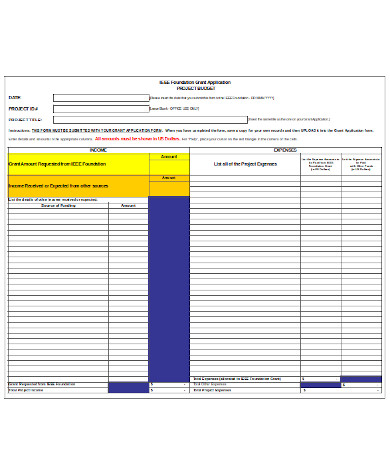 general project budget form