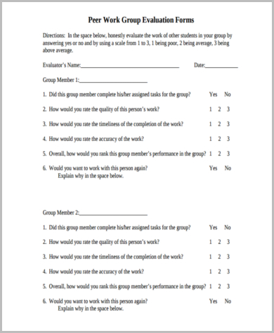 peer workgroup evaluation form