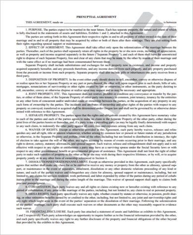 prenuptial agreement form pdf