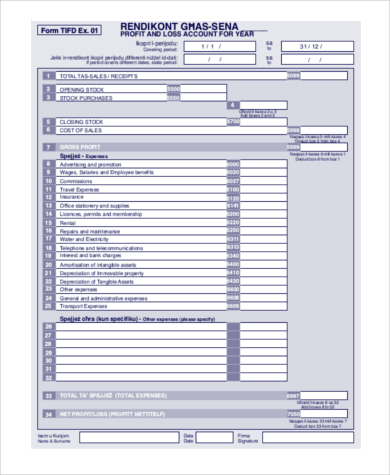 printable profit and loss statement