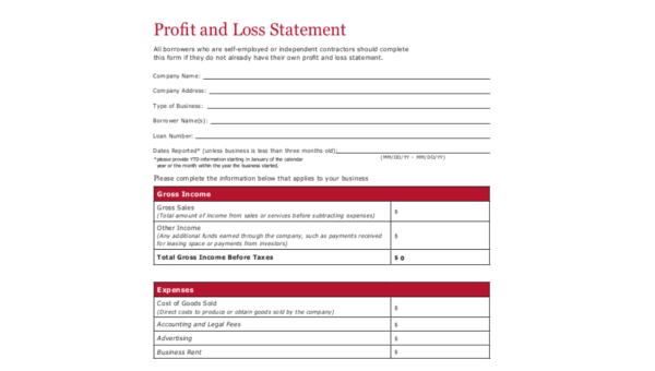 profit and loss statement sample