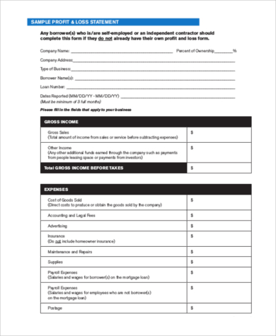 profit and loss statement for loan modification