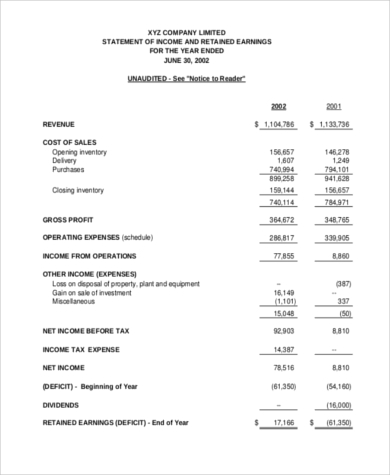 Profit and Loss Statement Sample - 9+ Free Documents in 