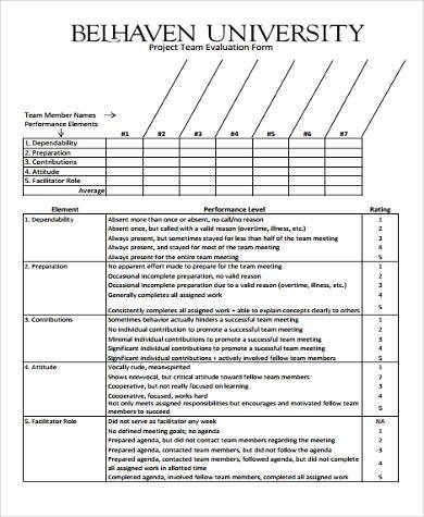 project team evaluation form
