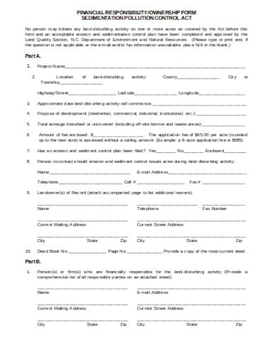 simple financial responsibility form