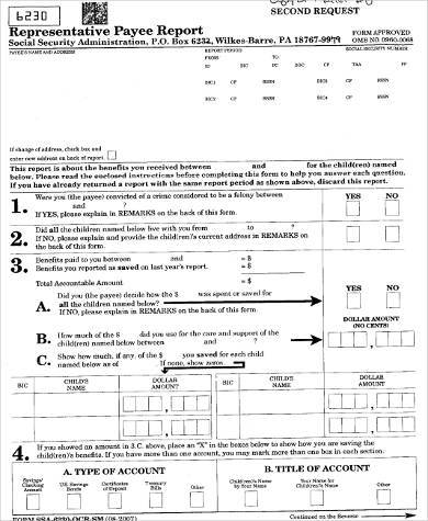 social security payee report form