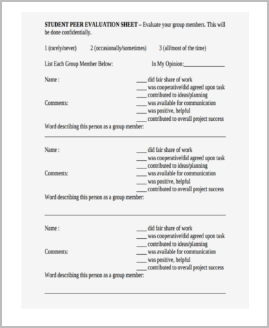 student group evaluation form