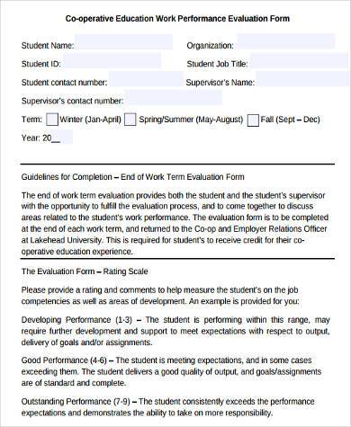 student work evaluation form