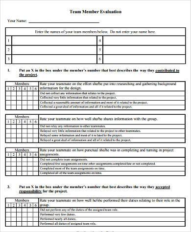 team member evaluation form1