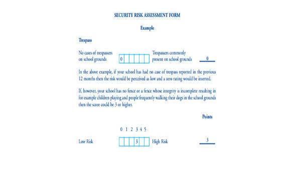 fimg smpl security assessment form