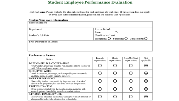 Job Performance Review Remar
