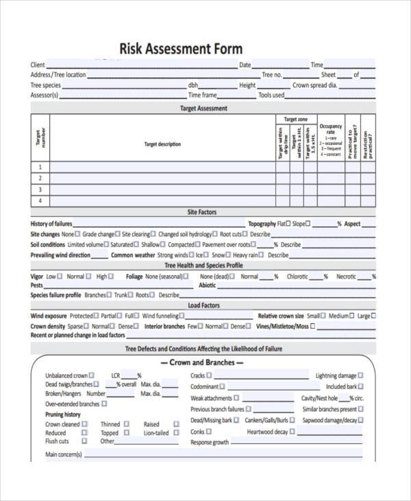 FREE 8+ Client Assessment Forms in PDF | MS Word