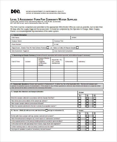 community assessment form in word format