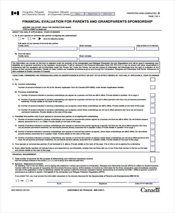financial evaluation form example