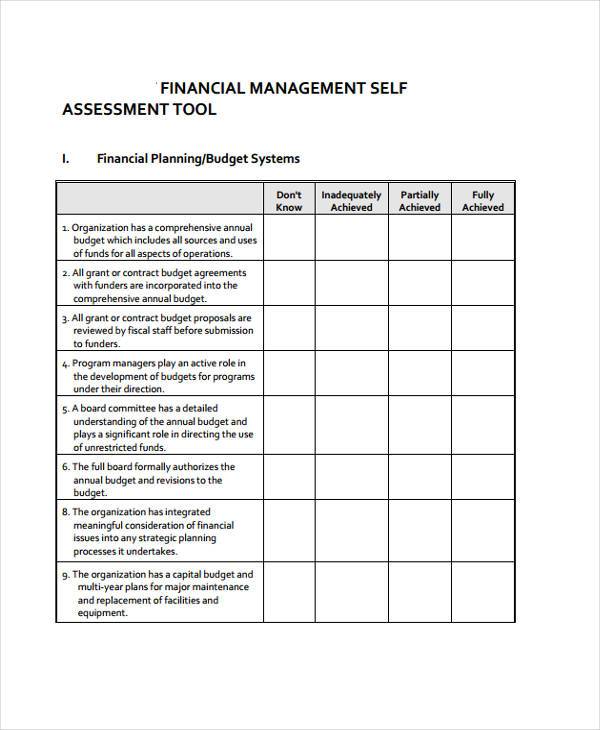 FREE 9+ Financial Assessment Forms in PDF MS word Excel