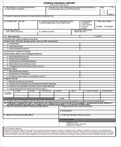 financial report form in word format