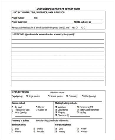 generic project report form