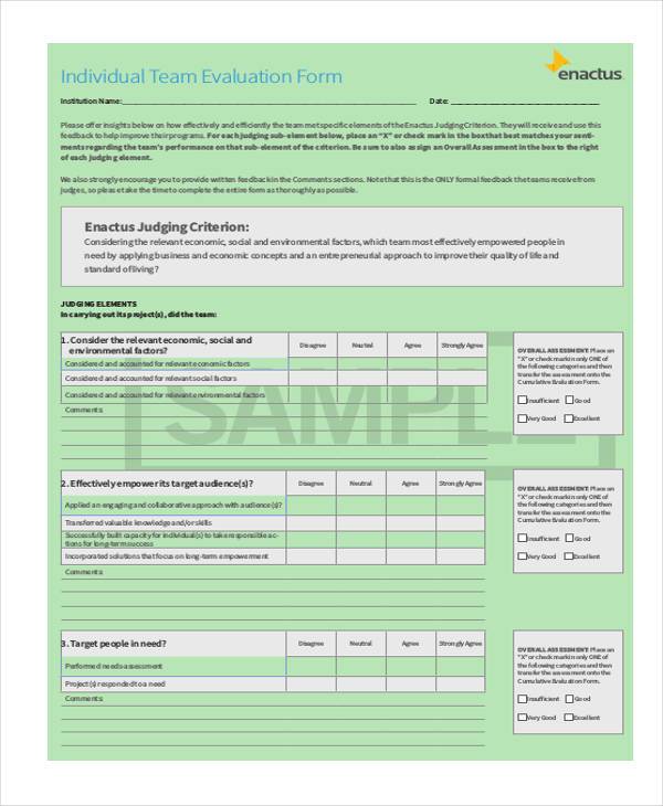 individual team evaluation form1