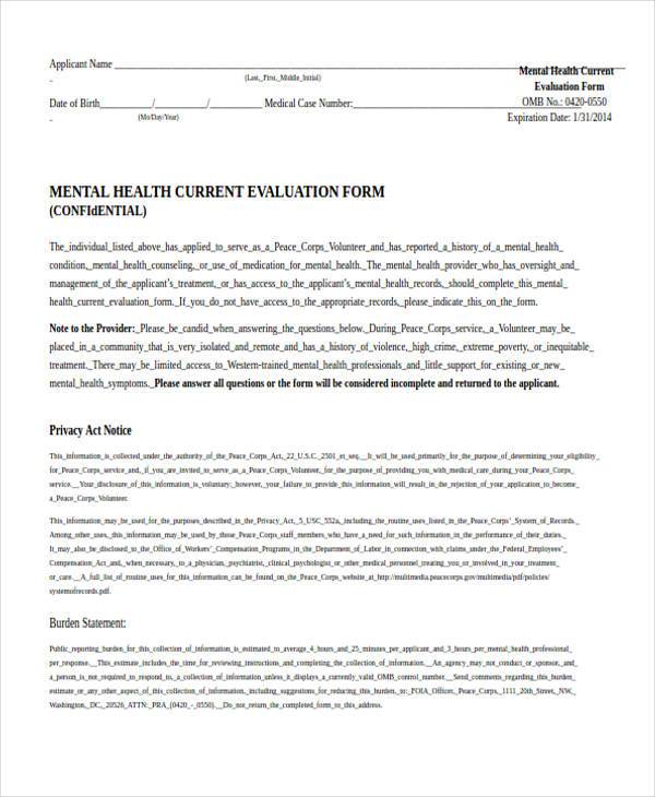 Mental Health Program Evaluation Template