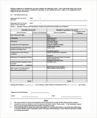 monthly income and expenses assessment form