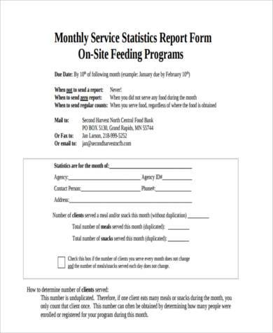 monthly service statistics report form