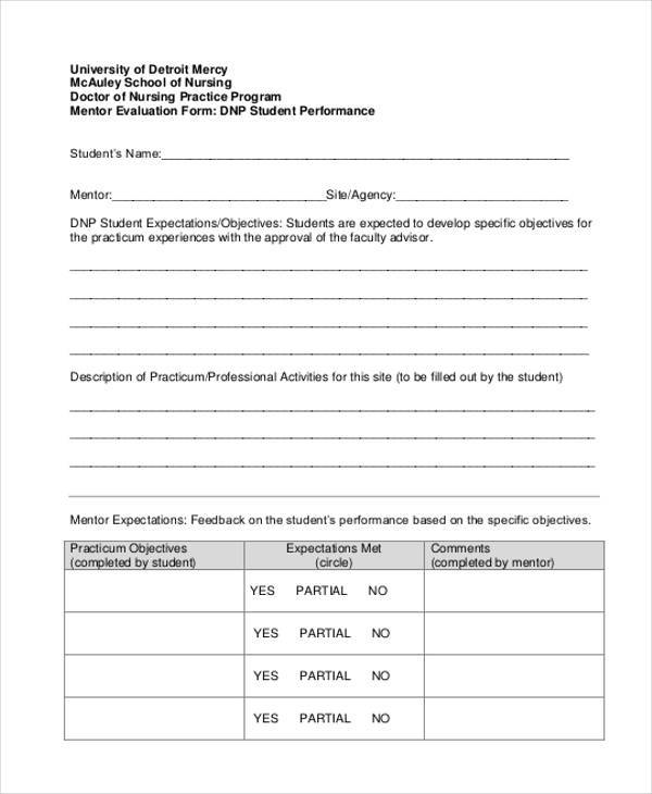 nursing mentor evaluation form